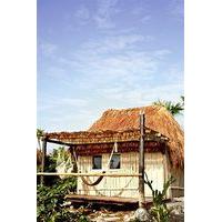 Papaya Playa Project