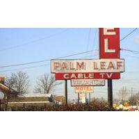 palm leaf motel