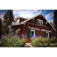 paradise lodge bungalows