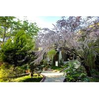 Park Mandalin Hotel
