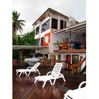 Panama Divers & Octopus Garden D...