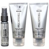 Paul Mitchell Blonde Take Home Kit