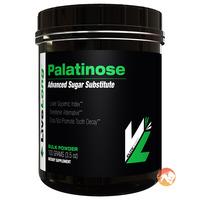 Palatinose 1kg