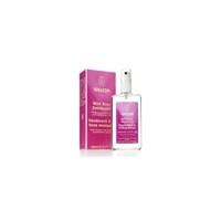 (Pack of 6) Weleda - Wild Rose Deodorant 100 ML