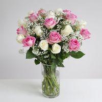 pastel fairtrade roses flowers