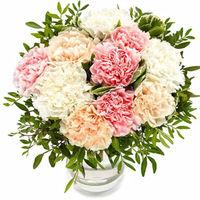 Pastel Carnations - flowers