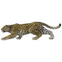 Papo Leopard Figure (Multi-Colour)