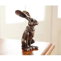 Paul Jenkins Hare Statues, Bronze