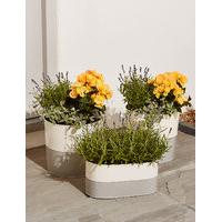 Patio Collection