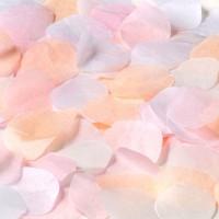 Paper Rose Petal Throwing Confetti