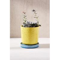 Parker 6\" Planter, YELLOW