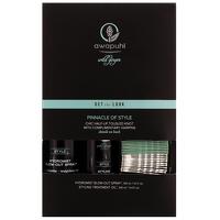 Paul Mitchell Awapuhi Wild Ginger Hydromist Blow-Out Spray 150ml, Styling Treatment Oil 100ml and Hair Pins x 20