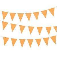 Paper Pennant Banner - Orange