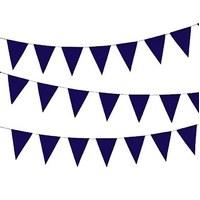 Paper Pennant Banner - Violet