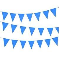 Paper Pennant Banner - Royal Blue