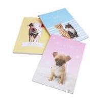 Papermania Paws for Thought Doodle Books 3 Pack