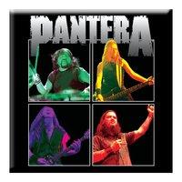 pantera magnets band photo