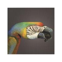 Parrot Hand Animal Card