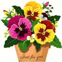 Pansie flower pot blank card