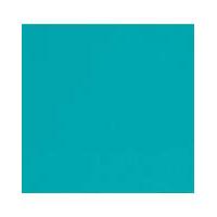 Paper Lunch Napkins x 50