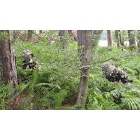 Paintballing For 5, 10 Or 20 People With BBQ Lunch Plus 100 Paintballs Each - 6 UK Venues