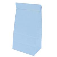 Paper Party Bags Pale Blue
