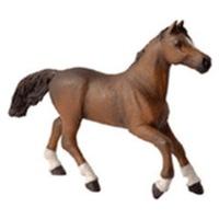 Papo Anglo-Arab Mare (51075)