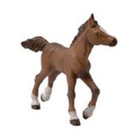 Papo Anglo-Arab foal (51076)