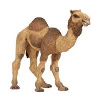 Papo Dromedary