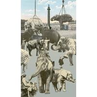 Paris - Elephants By Peter Blake
