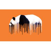 Panda - Orange By Carl Moore