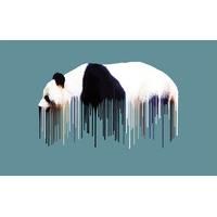 Panda By Carl Moore