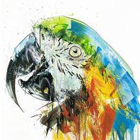 Parrot II By Dave White