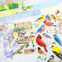 paper house birds collection 386222