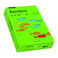 Papyrus Rainbow (88042673)