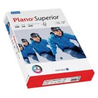 Papyrus Plano Superior (88026781...