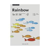 Papyrus Rainbow (88042813)