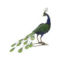 Patrick Peacock Garden Ornament