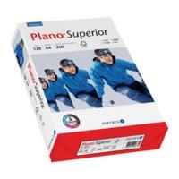 Papyrus Plano Superior (88026786...