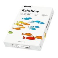 Papyrus Rainbow (88042211)