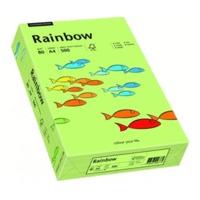 Papyrus Rainbow (88042607)