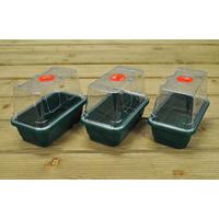 Pack of 3 Mini High Dome Seed Propagator (Unheated) by Garland