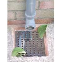 Pair of Stainless Steel Drain Guards