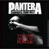Pantera Coaster
