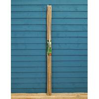 Pack of 10 Bamboo Canes (120cm) by Kingfisher