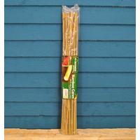 Pack of 20 Bamboo Canes (60cm) by Kingfiisher