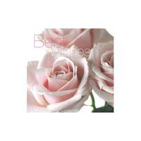 pale pink roses greeting card