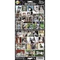 Pack Of 27 Siberian Husky Stickers