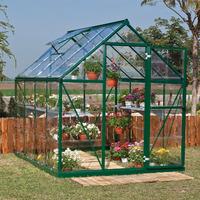 Palram 6ft x 8ft Greenline Harmony Greenhouse