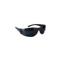 Panorama Protective Glasses, darkened Westfalia